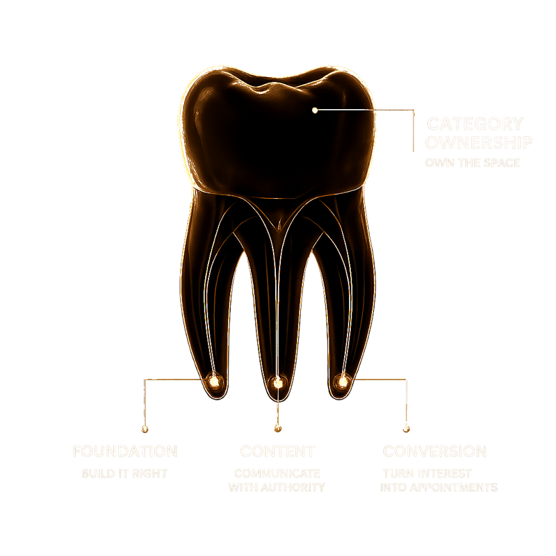 Dental Marketing Statistics Dashboard